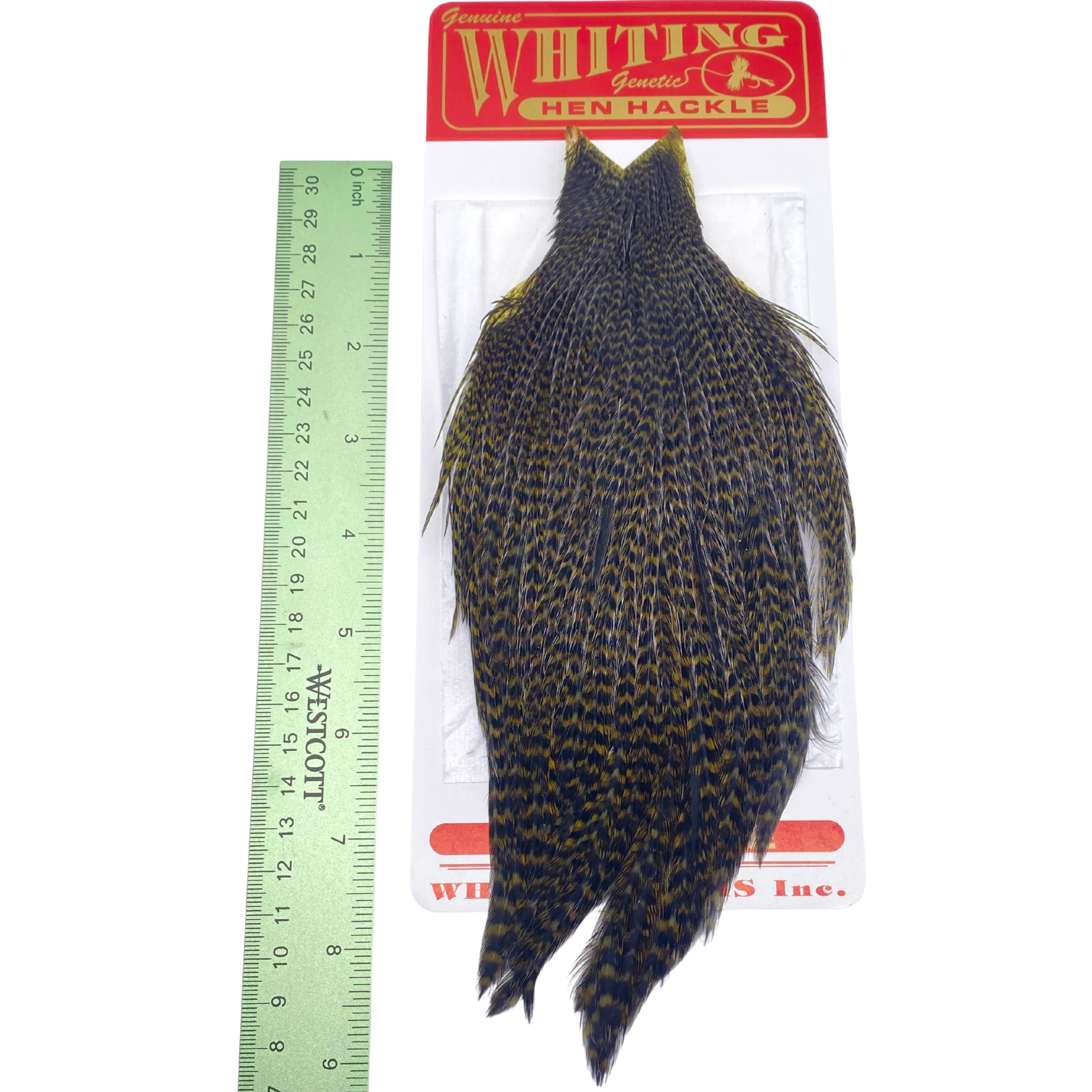Whiting Hen Cape - ( WHITING FARMS, INC)