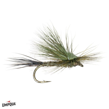Gunnison Green Drake - The Blue Quill Angler
