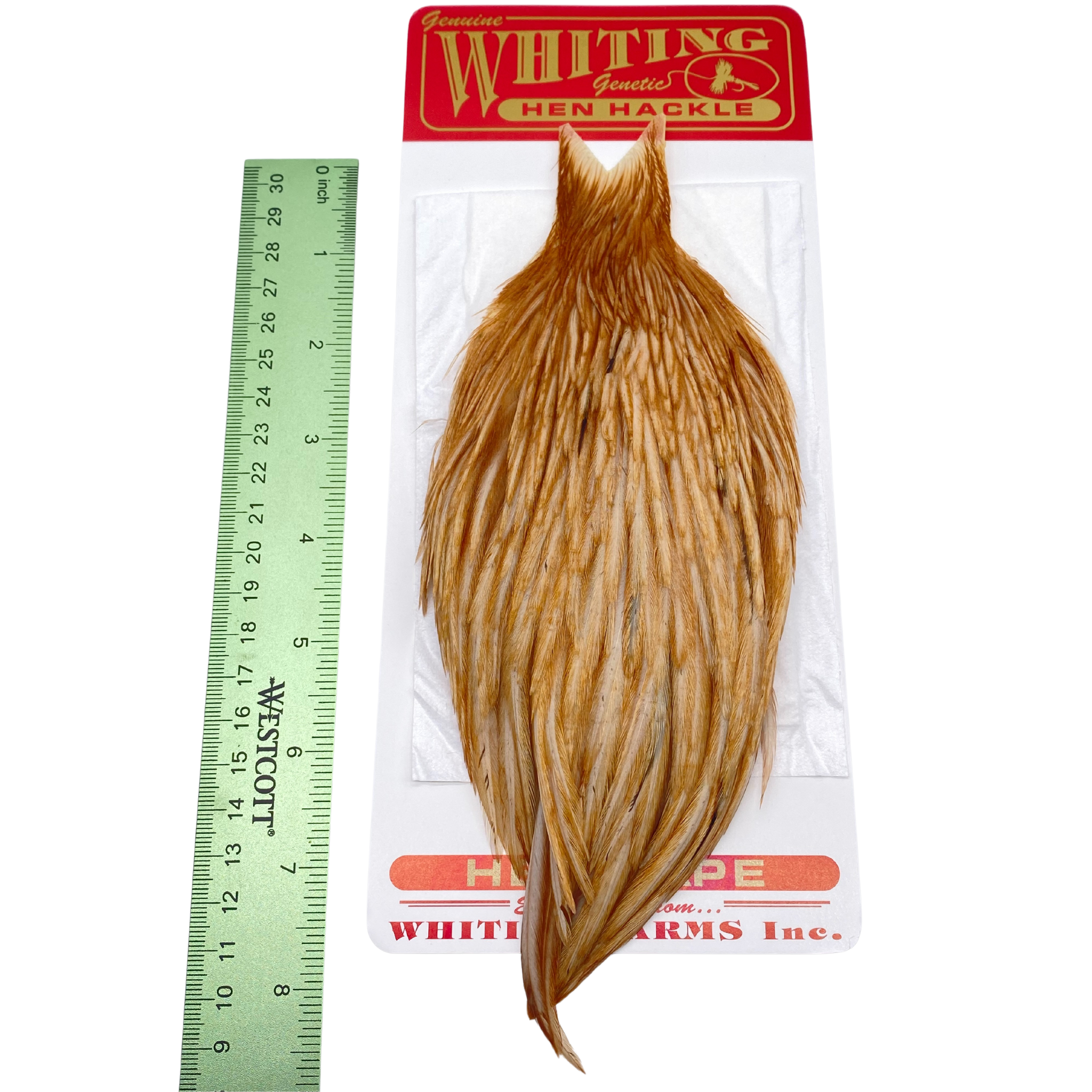 Whiting Hen Cape - ( WHITING FARMS, INC)