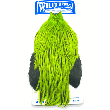 Whiting Freshwater Streamer Rooster Cape - The Blue Quill Angler