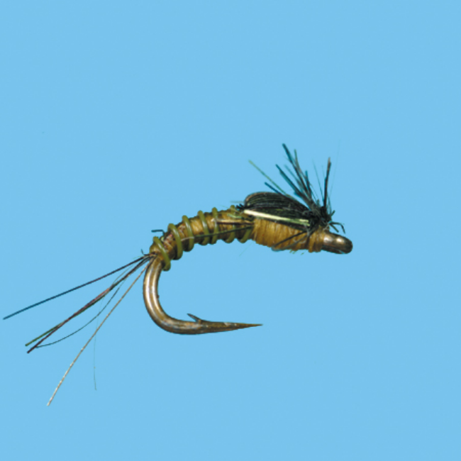 Bts Nymph - ( SOLITUDE FLY) - Blue Quill Angler