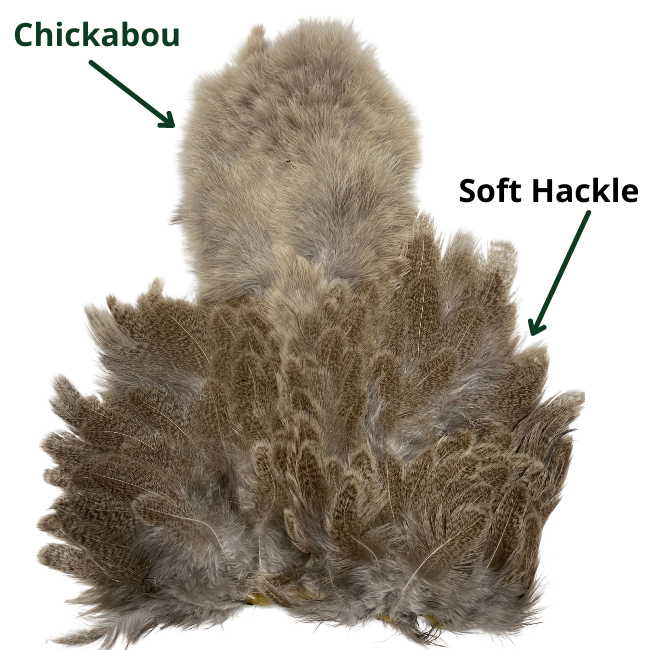 Whiting Brahma Hen - Soft Hackle And Chickabou