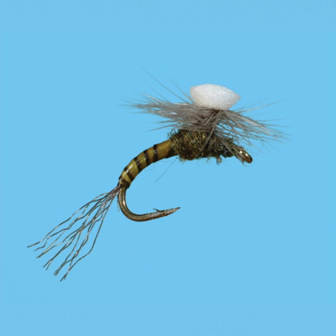 Brooks’ Sprout Baetis - ( SOLITUDE FLY)
