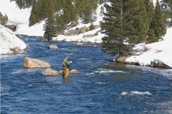 Fly Fishing in Colorado Pocket Water - by Pat Dorsey