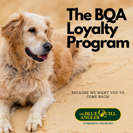 Loyalty Program Enhancements!