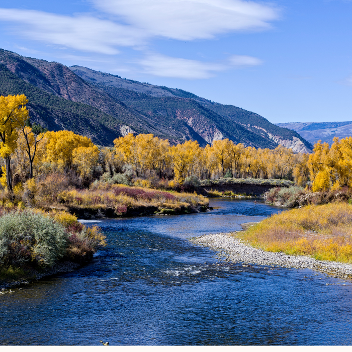 Experience Fall Colors and Fantastic Fly Fishing in Colorado