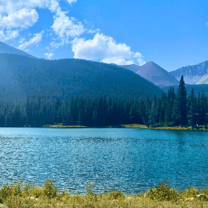 New private water location: Bartle Lakes - The Blue Quill Angler