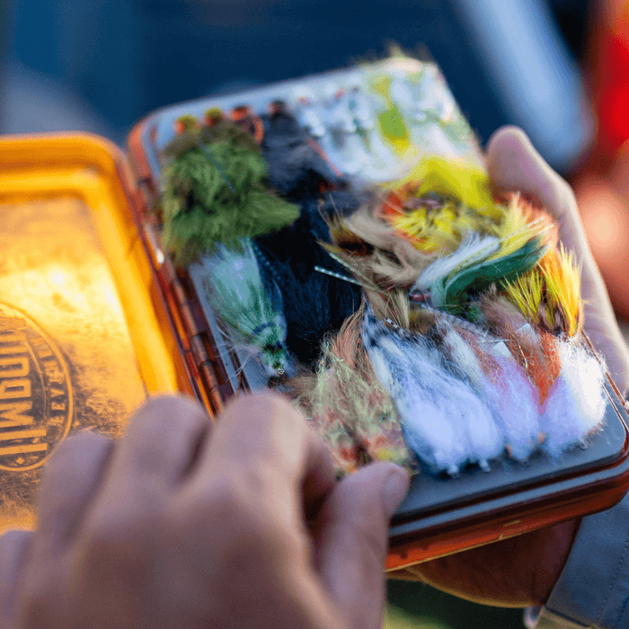 Streamer Fishing Game Changer - The Blue Quill Angler