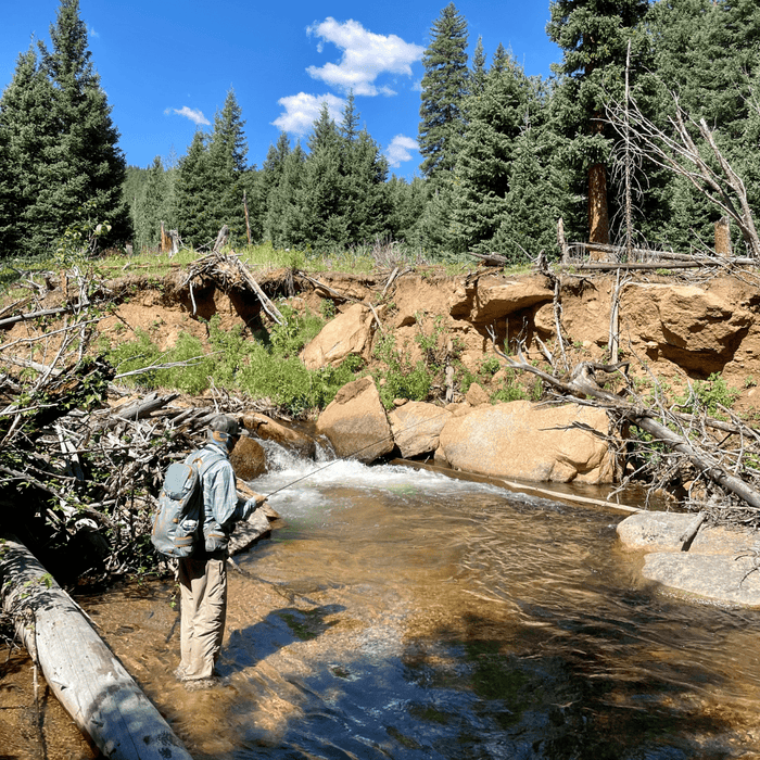 Wet Wade Your Way Through Summer Fly Fishing - The Blue Quill Angler