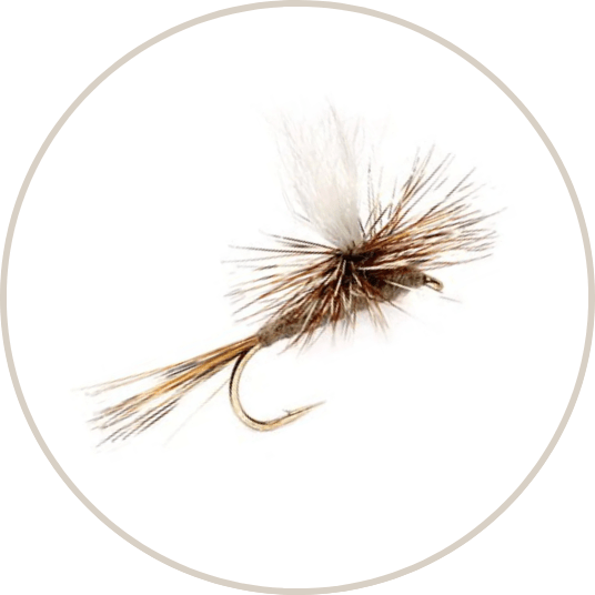 Flies-Dry-Flies - The Blue Quill Angler