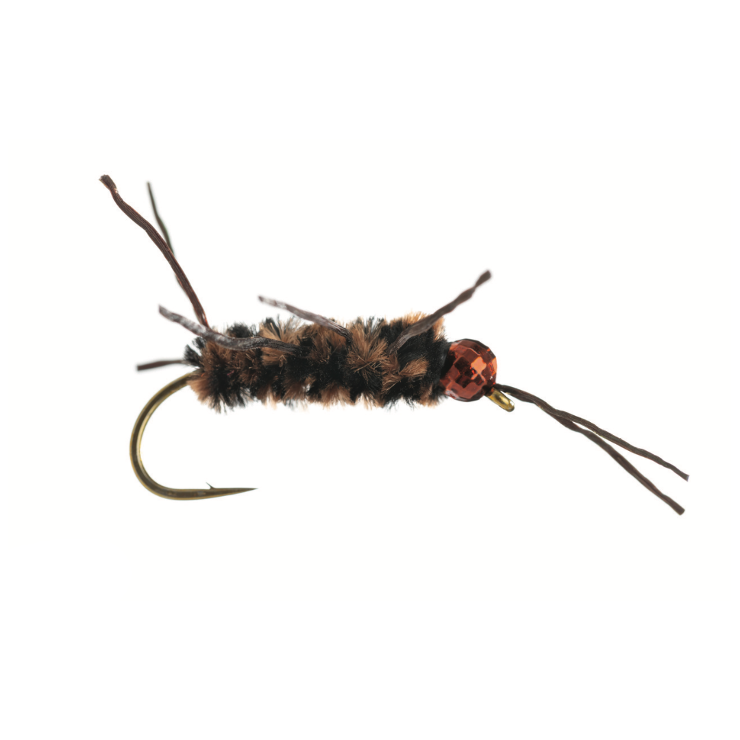 Stonefly Nymphs