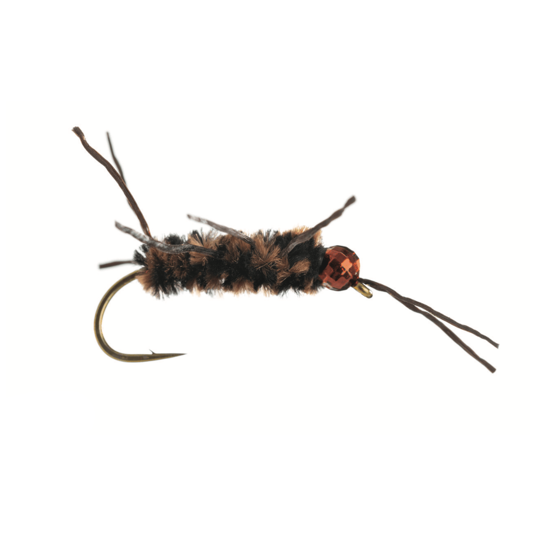 Stonefly Nymphs - The Blue Quill Angler