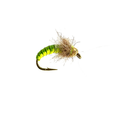 Vladi Polish Woven Nymph - The Blue Quill Angler