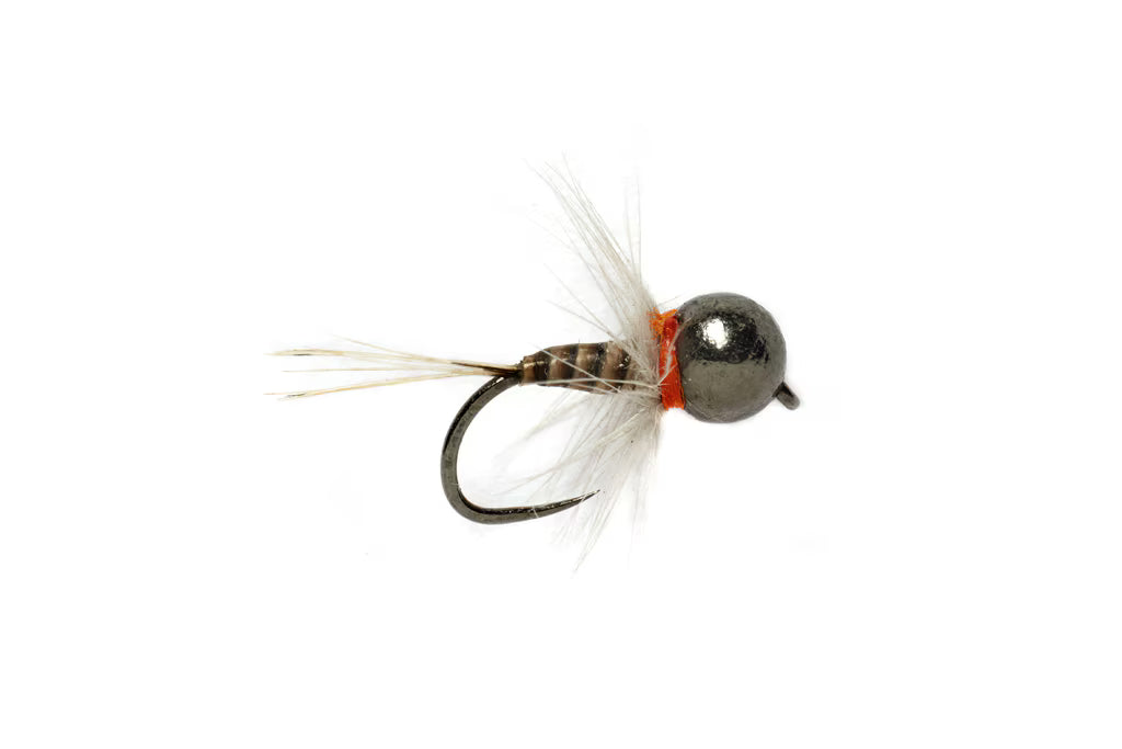 Tungsten Bomb Soft Hackle Perdigon