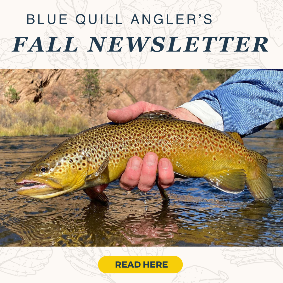 The Blue Quill Angler - Fly Fishing - Evergreen, CO