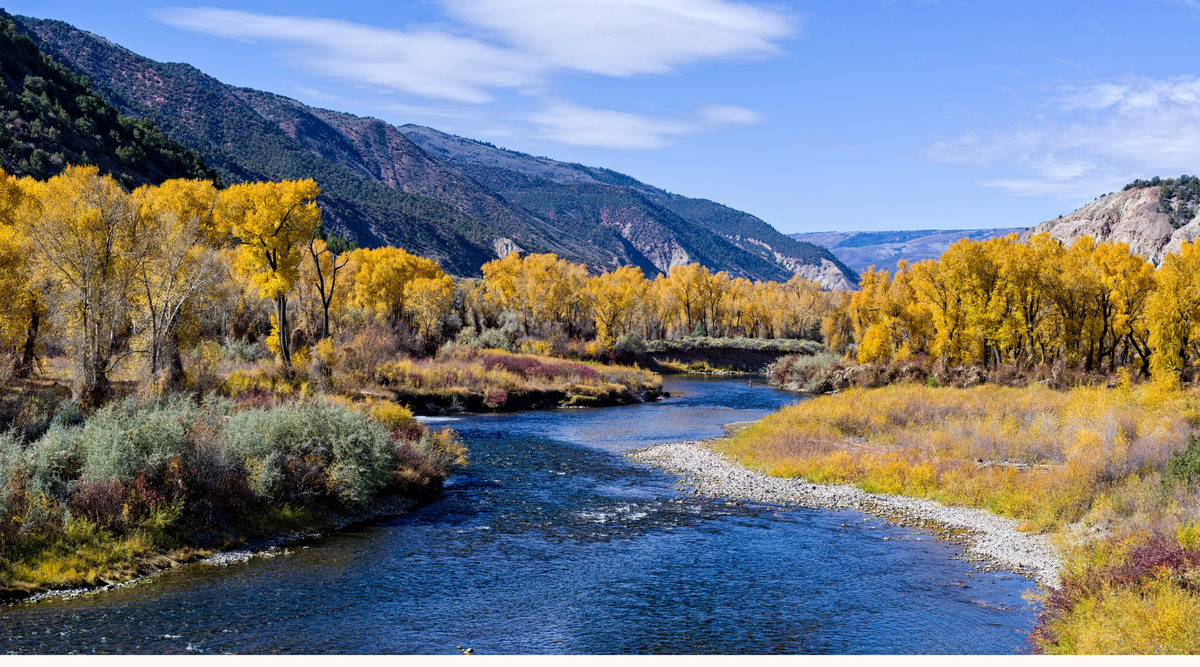 FallFishing2.png__PID:97a42020-4d13-45e1-b142-5b40dd82c972