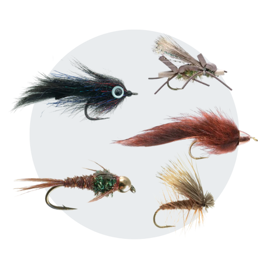 Flies.png__PID:79fa6a55-46d6-4544-a700-19c27a9731c0