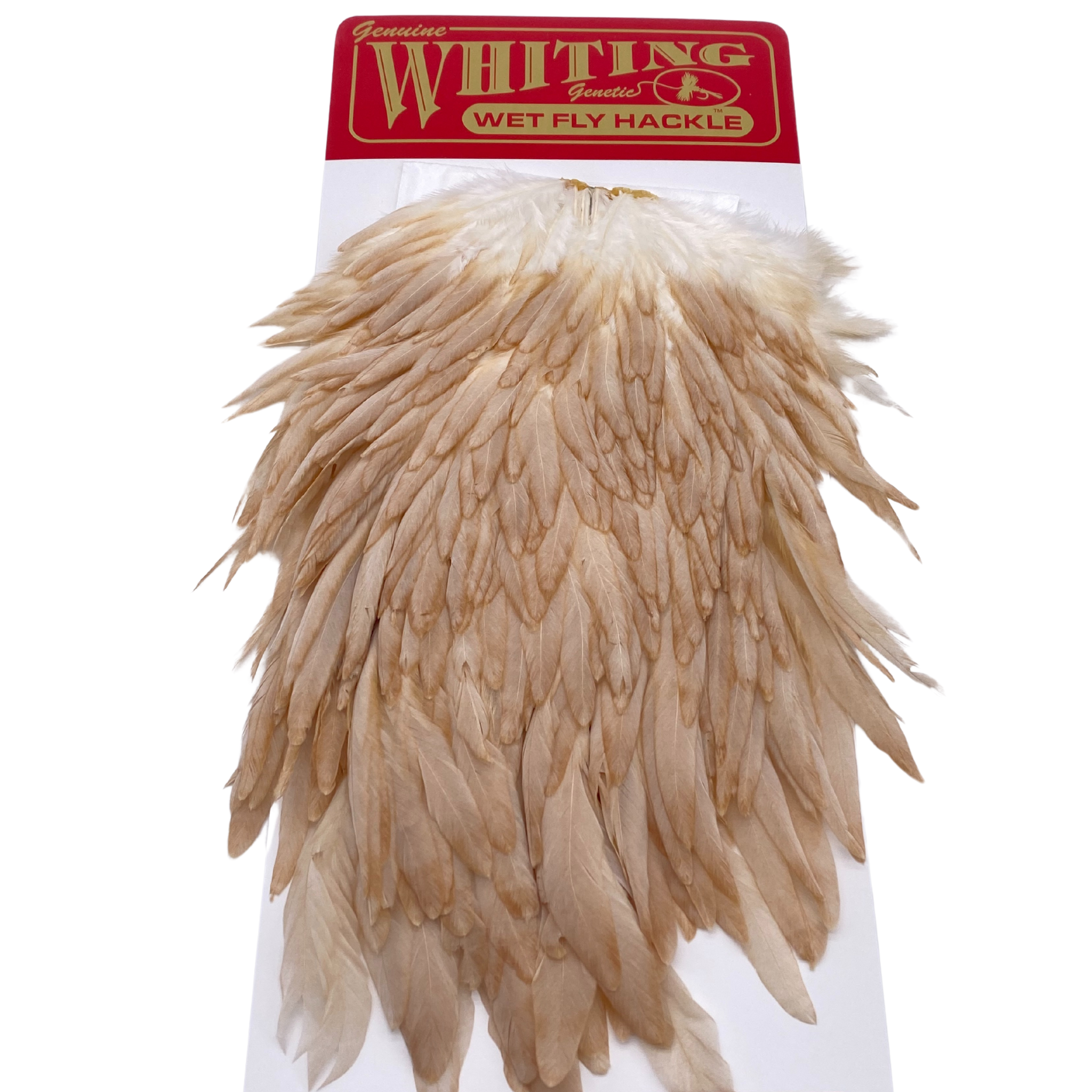 Whiting Hen Saddle - ( WHITING FARMS, INC)