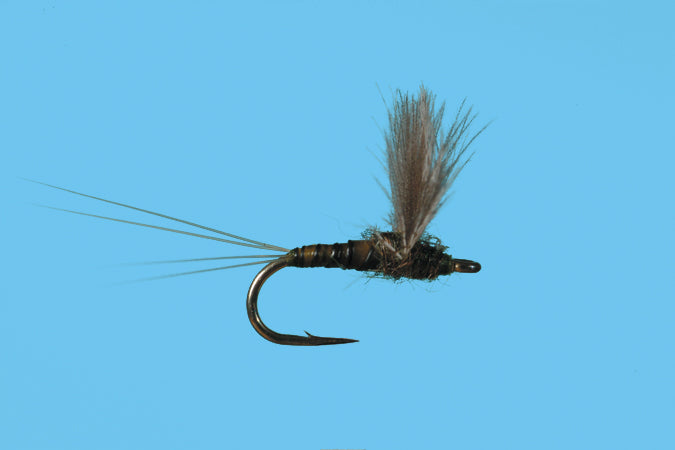 CDC Biot Comparadun - BWO - The Blue Quill Angler