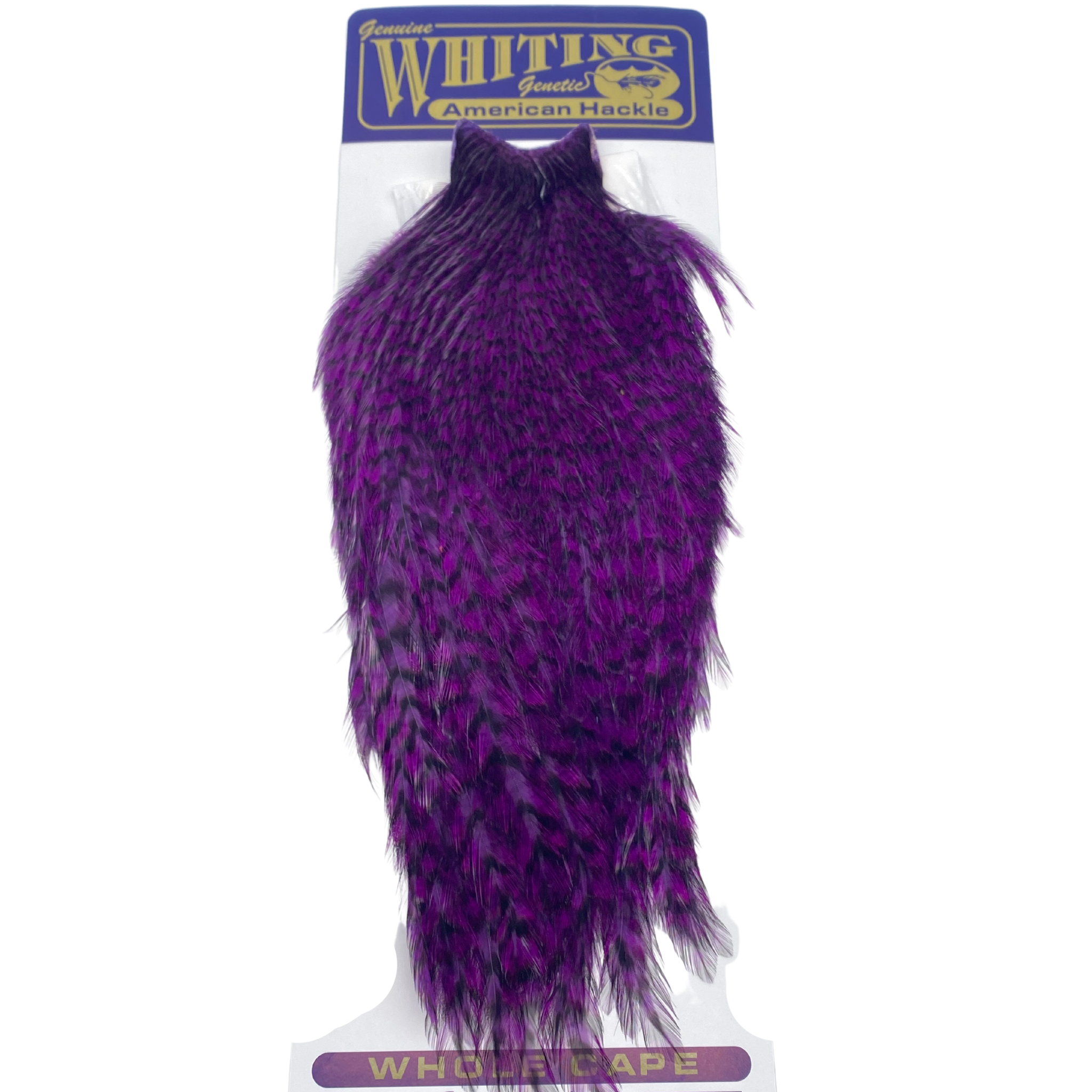 Whiting American Rooster Cape - ( WHITING FARMS, INC)