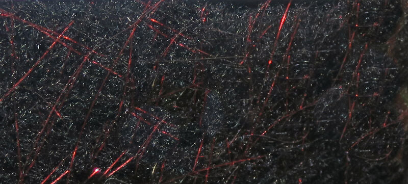 Fly Fish Food's Bruiser Blend Jr. Dubbing