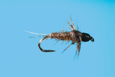 BH Anatomical Callibaetis - The Blue Quill Angler