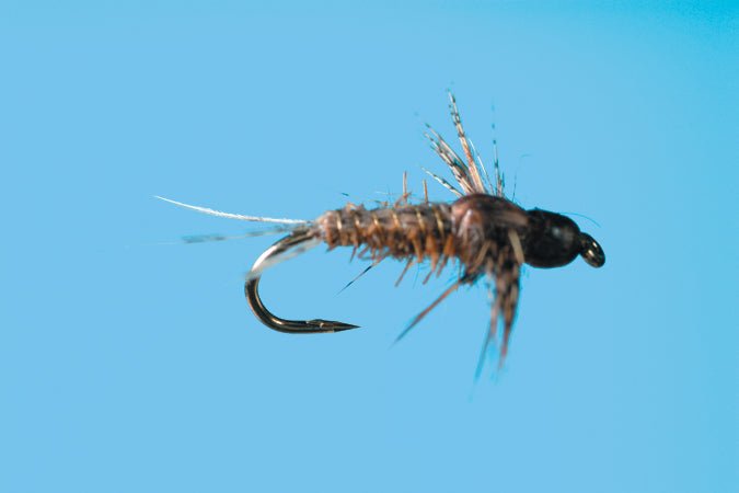 BH Anatomical Callibaetis - The Blue Quill Angler