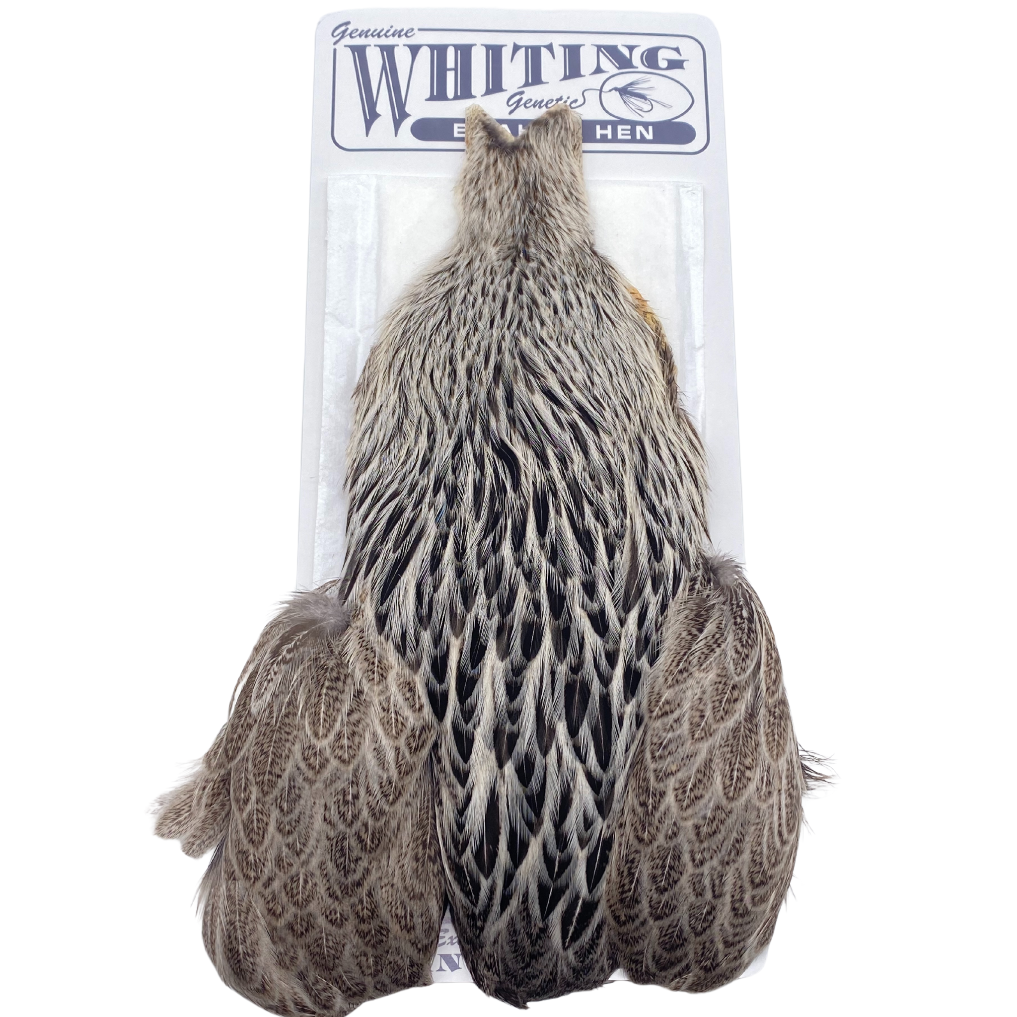 Whiting Brahma Hen Cape - ( WHITING FARMS, INC)