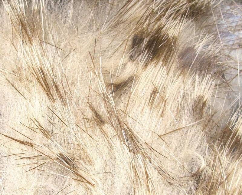 Brown Barred Rabbit Strip - The Blue Quill Angler