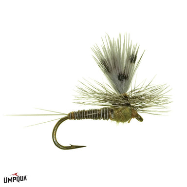Burk's Silhouette Dun - The Blue Quill Angler