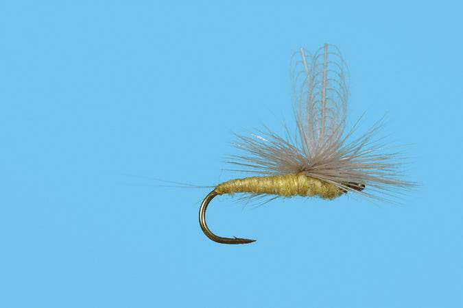 CDC PMD Dun - The Blue Quill Angler