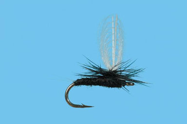 CDC Trico Male Dun - The Blue Quill Angler