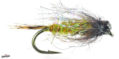 Dirty Bird - Tungsten - The Blue Quill Angler