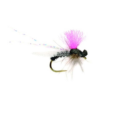 Drop Arse Gnat - The Blue Quill Angler