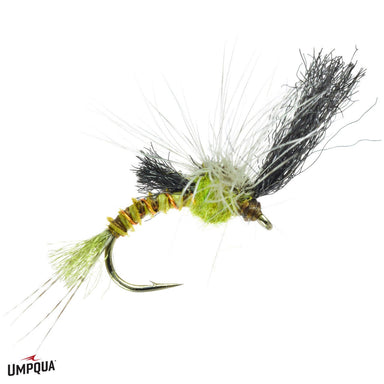 Film Critic - Green Drake - The Blue Quill Angler