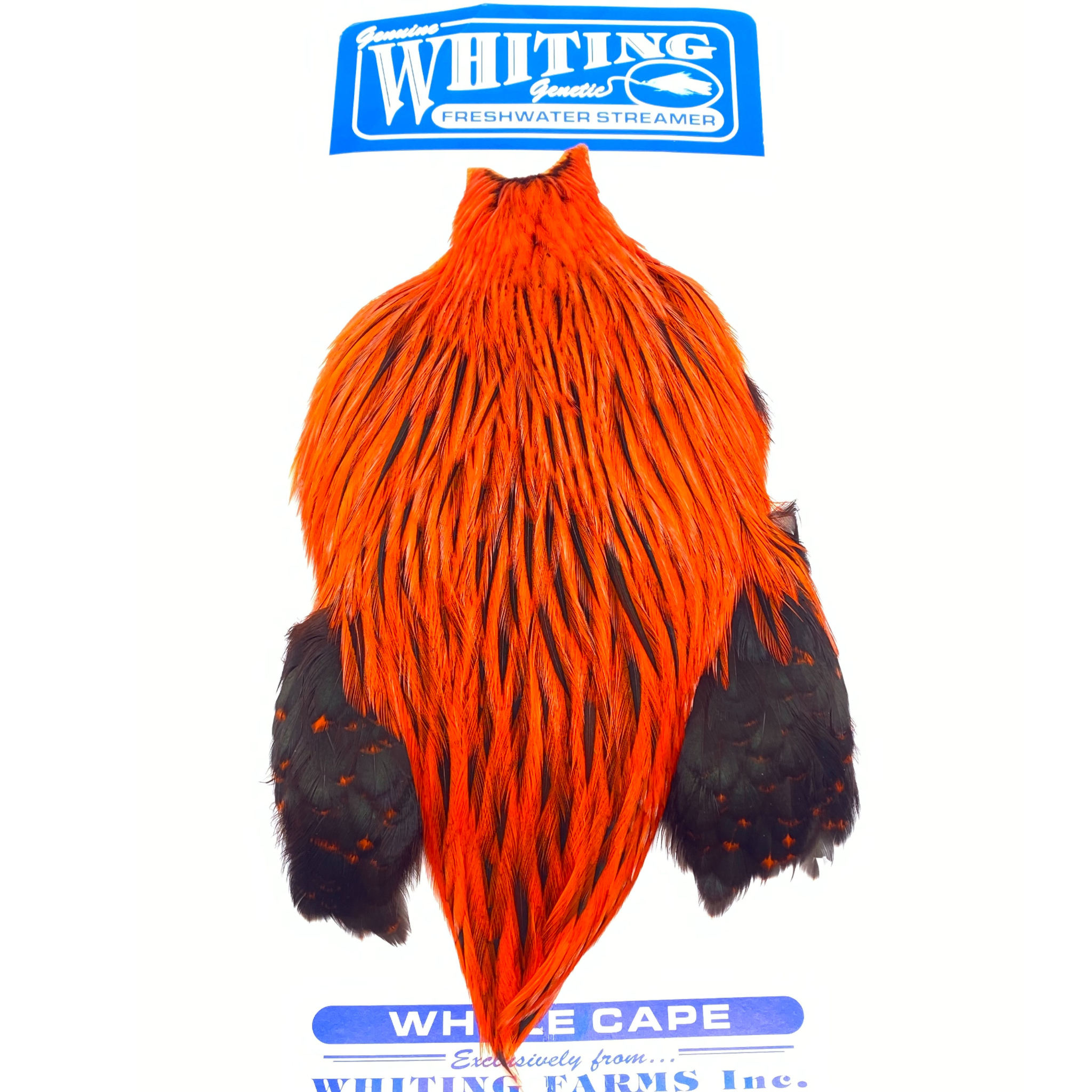 Whiting Freshwater Streamer Rooster Cape