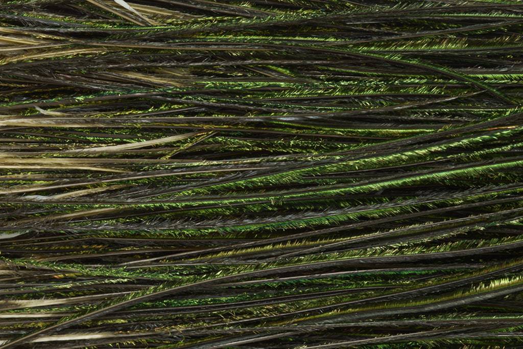 Fulling Mill Premium Selected Peacock Herl - The Blue Quill Angler