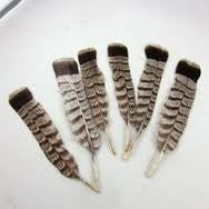 Grouse Tails