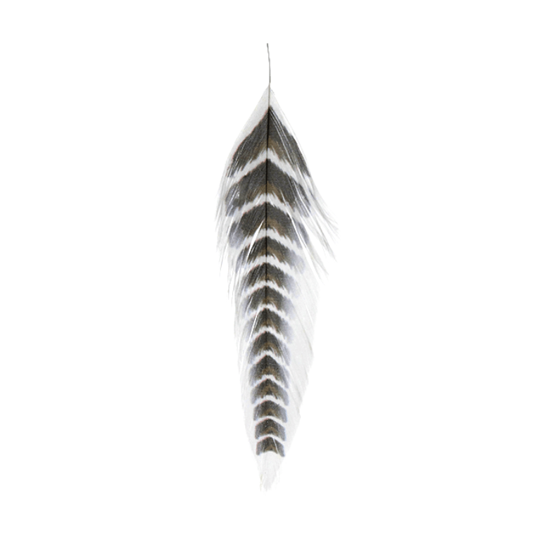 Galloup's Fish Feathers - The Blue Quill Angler