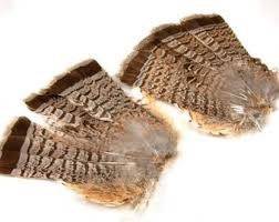 Grouse Tails - The Blue Quill Angler