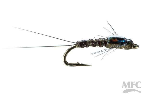 Juan's Splitback Shady - The Blue Quill Angler