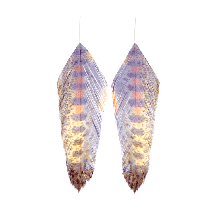 Galloup's Fish Feathers - The Blue Quill Angler