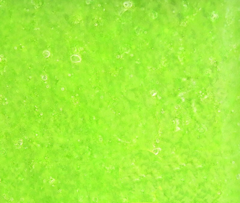 Kiley's Exo Skin - The Blue Quill Angler