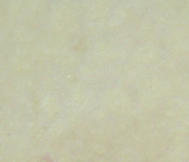 Kiley's Exo Skin - The Blue Quill Angler