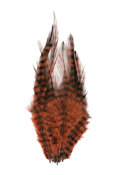 MFC Barred Saddle Hackle - The Blue Quill Angler