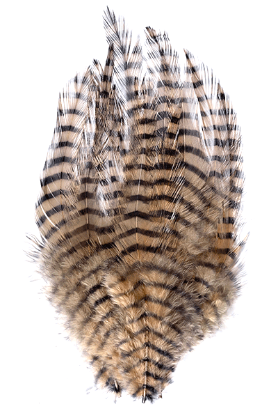 MFC Barred Saddle Hackle - The Blue Quill Angler