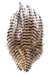 MFC Barred Saddle Hackle - The Blue Quill Angler