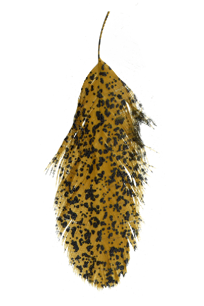 MFC Mottled Schlappen - The Blue Quill Angler