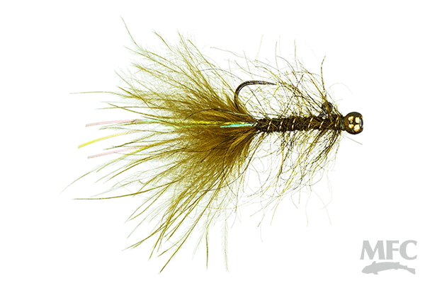 Rowley's Balanced Leech
