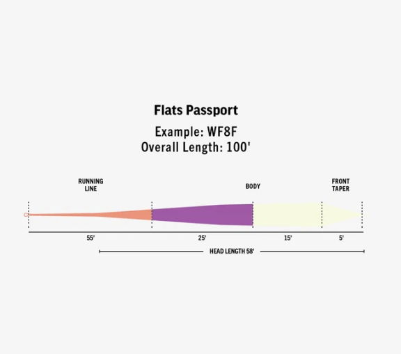 Rio Ambassador Series - Flats Passport